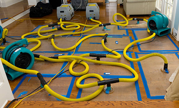 Professional Structural Drying And Dehumidification technician working in Springfield, MA